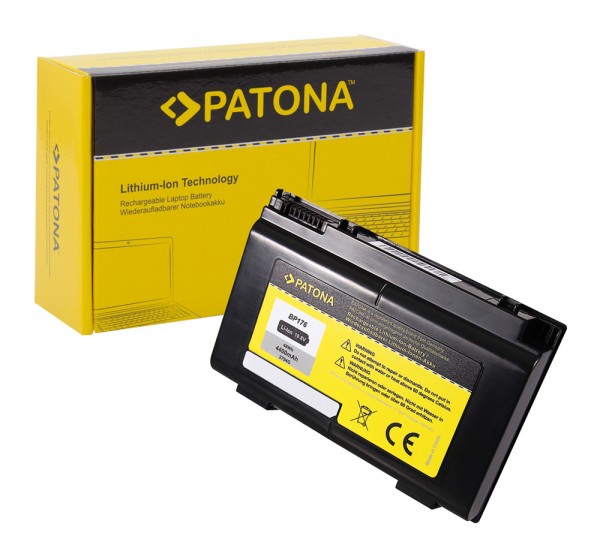 PATONA Batterie pour Fujitsu BP176 Celsius H700 Mobile Workstation H710 Mobile